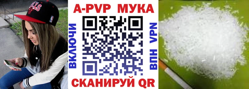 A PVP СК  darknet клад  Кингисепп  наркотики 